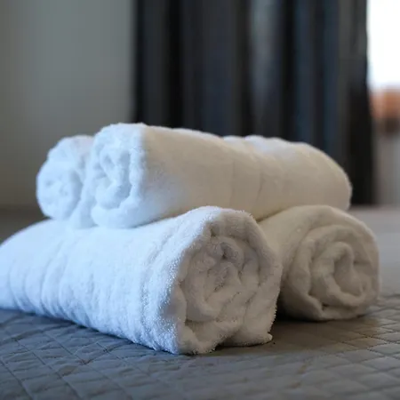 Emblematic House 4 Гирокастра