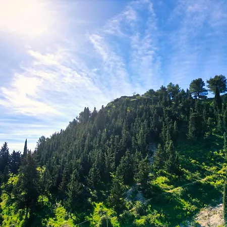 Emblematic House 4 *