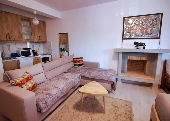 Emblematic House 4 民宿 Gjirokastër