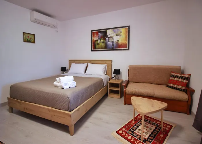 Emblematic House 4 民宿 Gjirokastër