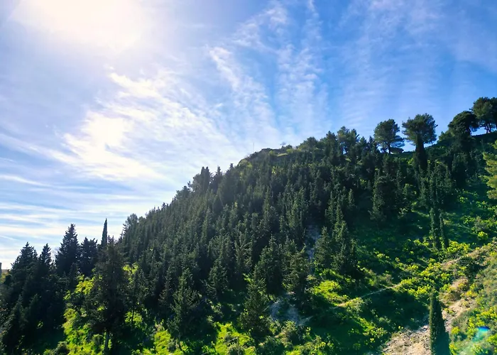 Emblematic House 4 *