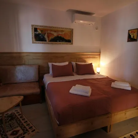 Emblematic House 4 ホームステイ *