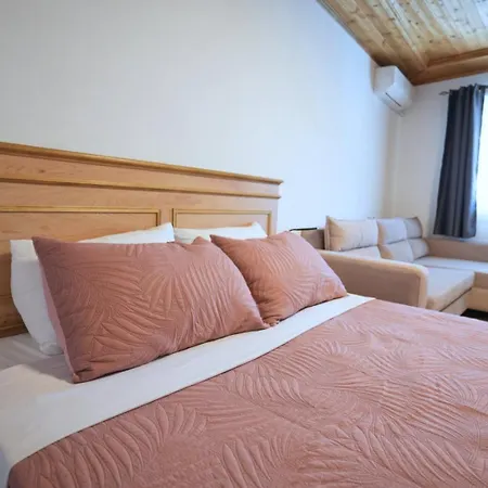 Emblematic House 4 * Gjirokastër